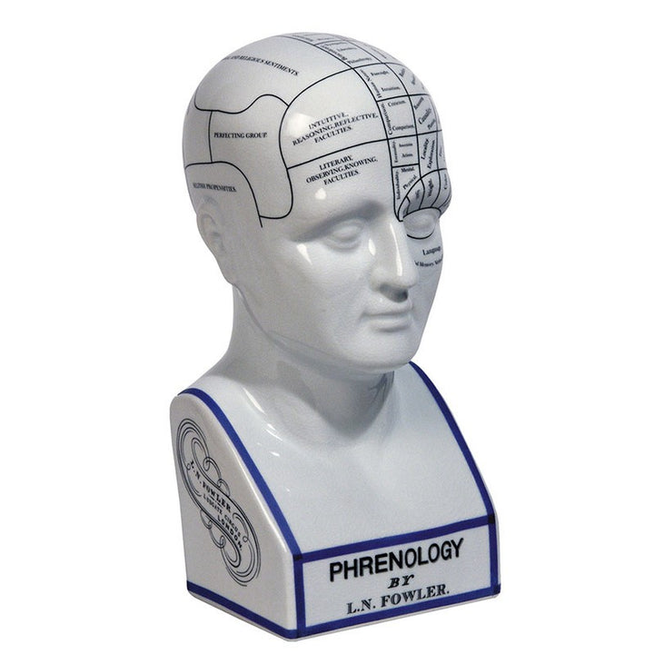 Phrenology Head (4687999074403)